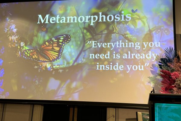 Dr Mark Bonchek quote from the 2024 Business Chicks Movers and Breakers conference about the power of metamorphosis